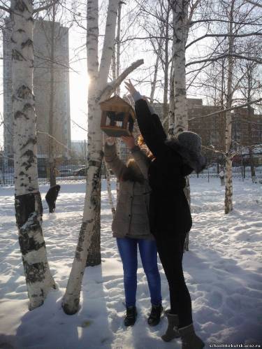 Синичкин день.