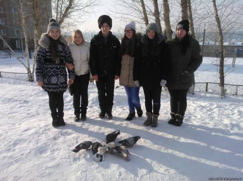 Синичкин день.