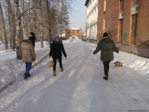 Синичкин день.