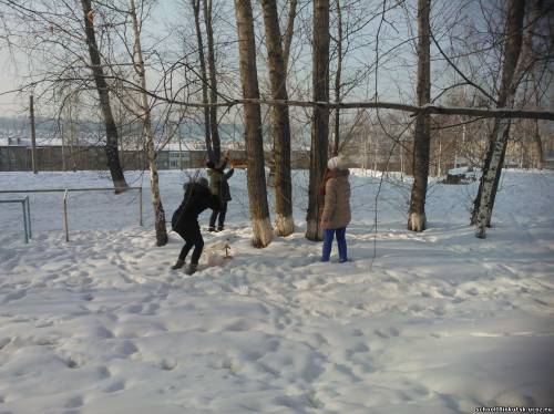 Синичкин день.